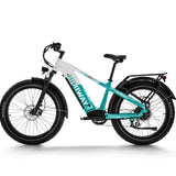 Load image into Gallery viewer, Zebra Premium all-terrain 26" fat tyre electric bike