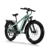 Load image into Gallery viewer, Zebra Premium all-terrain 26" fat tyre electric bike