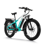 Load image into Gallery viewer, Zebra Premium all-terrain 26" fat tyre electric bike