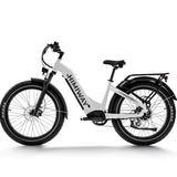 Load image into Gallery viewer, Zebra Premium all-terrain 26" fat tyre electric bike
