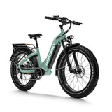 Load image into Gallery viewer, Zebra Premium all-terrain 26" fat tyre electric bike
