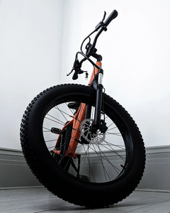 Thunder 26x4" fat tyre electric mountain bike