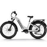 Load image into Gallery viewer, Zebra Premium all-terrain 26&quot; fat tyre electric bike
