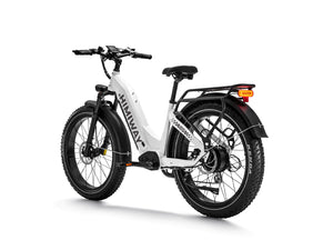 Zebra Premium all-terrain 26" fat tyre electric bike