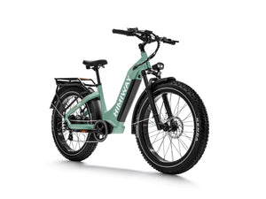 Zebra Premium all-terrain 26" fat tyre electric bike