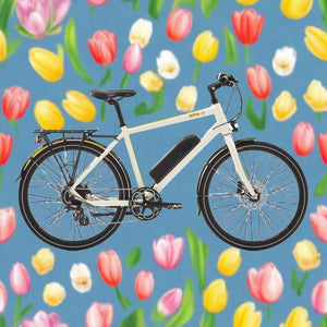 Nova X (19") 48cm frame electric bike with 26" wheels