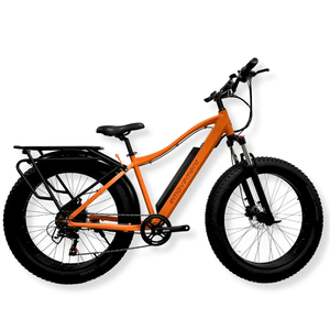 Thunder 26x4" fat tyre electric mountain bike