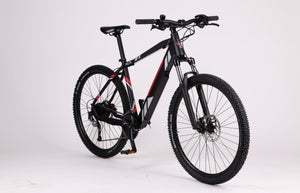 Ex-demonstrator 19" frame Delta Connect+ hard tail eMTB electric mountain bike